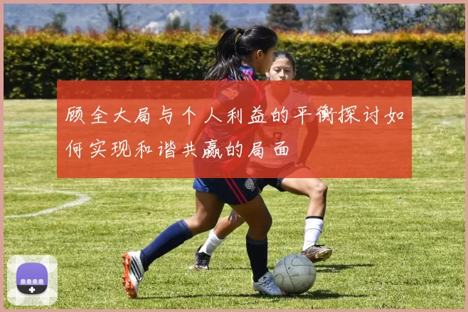 顾全大局与个人利益的平衡探讨如何实现和谐共赢的局面