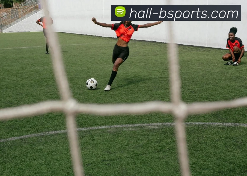 B体育APP 封面图